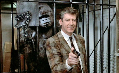 trading-places-beeks