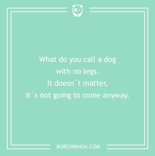 funniest-two-line-jokes-10-574c2fbfa85ee__700