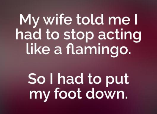flamingo-fun-joke