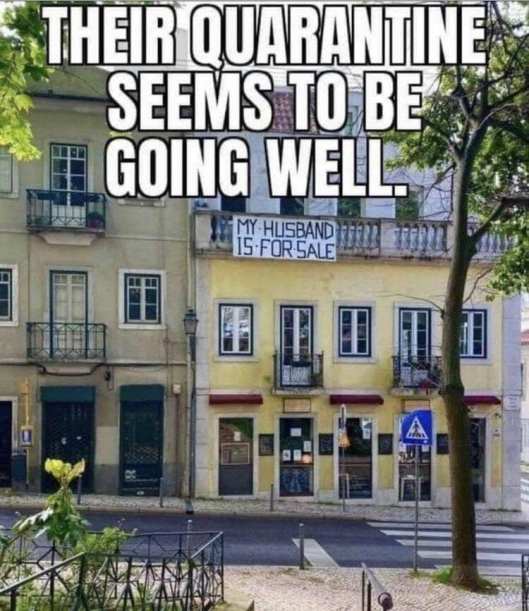 116643610_10164012252510461_7220231312171674950_n